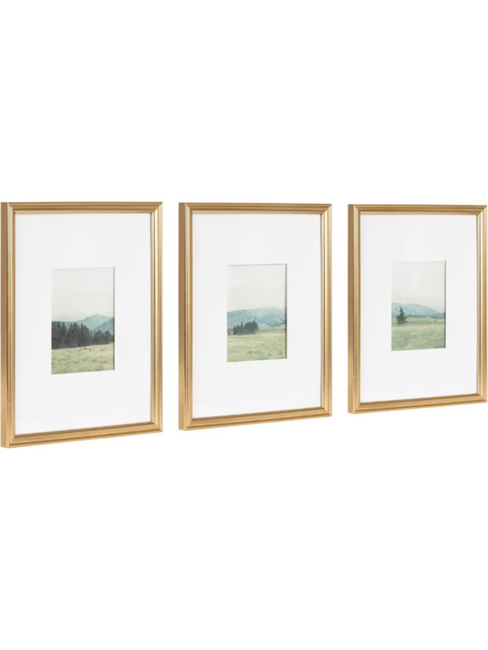 Vintage Watercolor Framed Art Set of 3 - 11x14 Matted to 5x7 - Gold Gallery Wall
